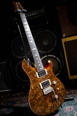 Paul Reed Smith [PRS] SE Custom24  / 2016_2