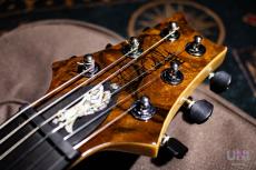 Paul Reed Smith [PRS] SE Custom24  / 2016_3