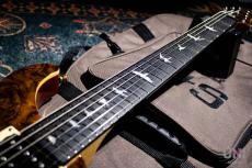 Paul Reed Smith [PRS] SE Custom24  / 2016_5