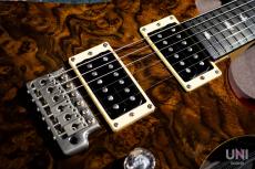 Paul Reed Smith [PRS] SE Custom24  / 2016_6