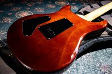 Paul Reed Smith [PRS] SE Custom24  / 2016_9