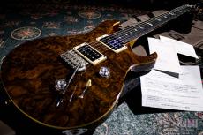 Paul Reed Smith [PRS] SE Custom24  / 2016_10