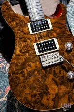 Paul Reed Smith [PRS] SE Custom24  / 2016_11