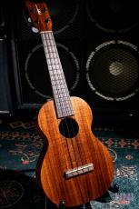 Kamaka HF-2 / 2021_2