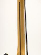 Fender 75th Anniversary American Professional Custom Telecaster, Maple Fingerboard, 2-Color Sunburst_7
