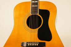 Guild D-55 1979年製 【Westerly工場製】 【オール単板 】_6