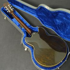 Epiphone Limited Edition Elitist 1966 Custom Riviera Honey Burst_2