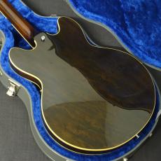 Epiphone Limited Edition Elitist 1966 Custom Riviera Honey Burst_4