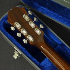 Epiphone Limited Edition Elitist 1966 Custom Riviera Honey Burst_8