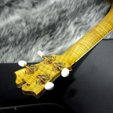 D'Angelico MU-1-NY【改装閉店セール!】_4