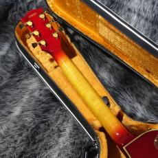 Greco EG800PR Mod._8