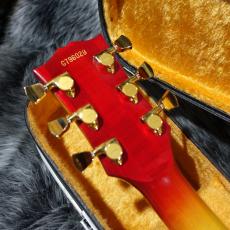 Greco EG800PR Mod._9