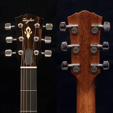 Taylor Gold Label 517e_4