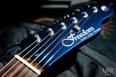 FREEDOM CUSTOM GUITAR RESEARCH Black Pepper_4