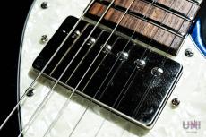 FREEDOM CUSTOM GUITAR RESEARCH Black Pepper_6