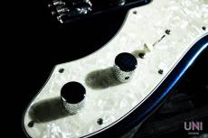 FREEDOM CUSTOM GUITAR RESEARCH Black Pepper_7