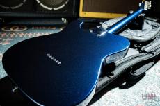 FREEDOM CUSTOM GUITAR RESEARCH Black Pepper_10