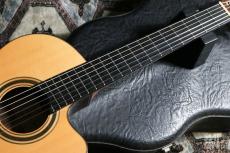 ALBERTO CANTO CUTAWAY THINLINE 2003_4