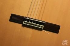 ALBERTO CANTO CUTAWAY THINLINE 2003_5