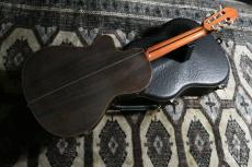 ALBERTO CANTO CUTAWAY THINLINE 2003_9