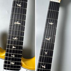 Paul Reed Smith [PRS] SE Silver Sky Limited Colors -Gold Spark- #CTI H077788 【限定カラー】【ジョンメイヤー】_5
