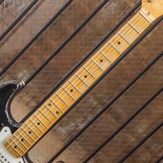 RS Guitarworks Contour Whiteguard "Ash Body" Two Tone Burst Road Killed_7