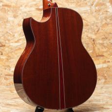 Taylor Custom GO-Ce 2013_2