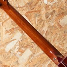 Taylor Custom GO-Ce 2013_7