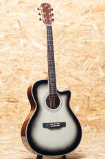Morris SE-93 Custom GRB_3