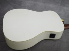 Fender Malibu Player ARG WN_4