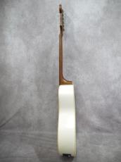 Fender Malibu Player ARG WN_10