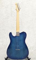 FUJIGEN NTE210RAH SBB【L250041】【3.75kg】_4