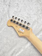 FUJIGEN NTE210RAH SBB【L250041】【3.75kg】_8