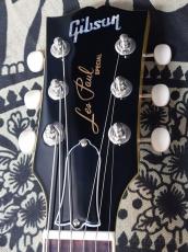 Gibson Les Paul Special -TV Yellow-【#202360220】【3.47kg】_8