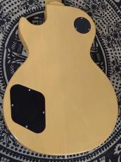 Gibson Les Paul Special -TV Yellow-【#202360220】【3.47kg】_11