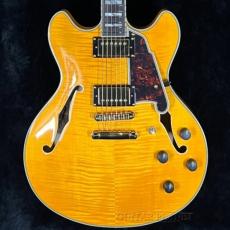 D'Angelico 【夏のボーナスセール】Excel DC -Vintage Natural-【Duncan P.U】【コイルタップ】