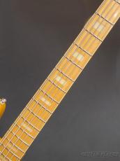 FUJIGEN NJB100MBAHV -Vintage Natural-【4.84kg】_5