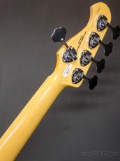 FUJIGEN NJB100MBAHV -Vintage Natural-【4.84kg】_10
