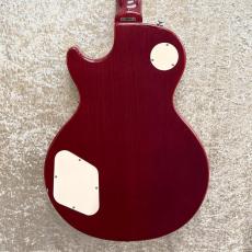 Epiphone Les Paul Standard Plus Top_2