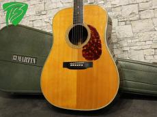 Martin 1973 D-35_2