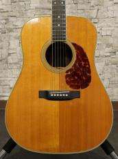 Martin 1973 D-35_13