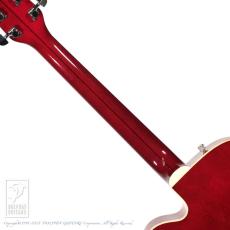 Gretsch 6119 Tennessee Rose_6