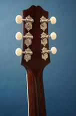 Stringphonic LeRoy SA-P90_7