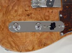 DEREK CUSTOM GUITAR Custom TE BM_7