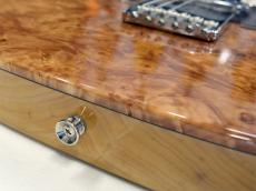 DEREK CUSTOM GUITAR Custom TE BM_10