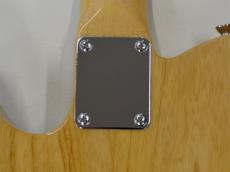 DEREK CUSTOM GUITAR Custom TE BM_14