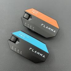 FLAMMA FW10 Wireless System_2