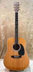 Martin D-35_2