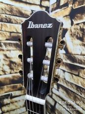 Ibanez アイバニーズ TOD10N-TKF [Tim Henson Signature Model] 【日本総本店2F 在庫品】_4