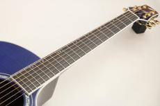 Morris 【BONUS SALE!】 TC-16/SBU #2207014 【フローレンタイン・カッタウェイ×シースルーブルー】_6